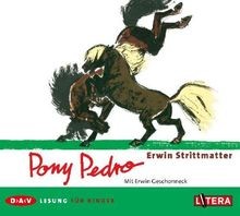 Pony pedro erwin - pedro,