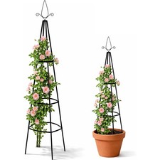 Garden Trellis Metal Plant