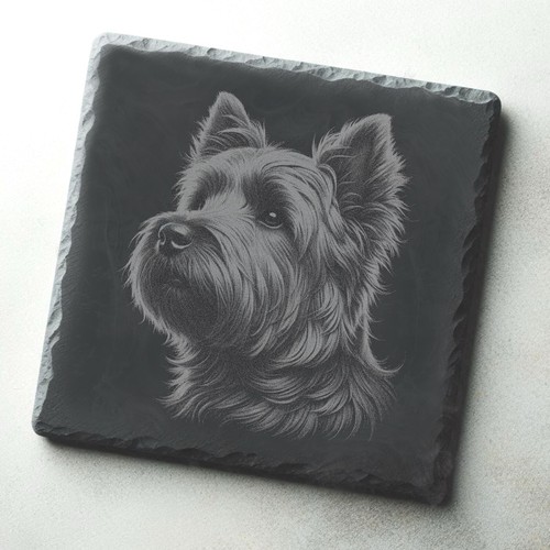 Cairn terrier dog engraved - cairn,