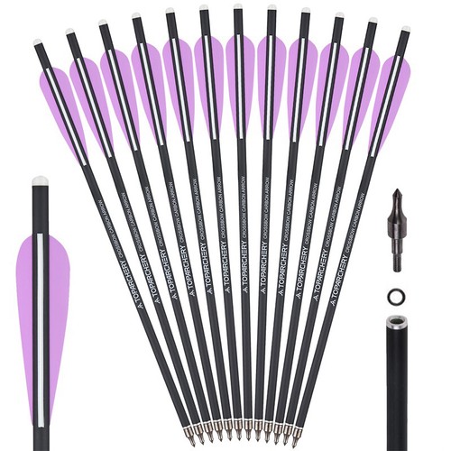 Bolts archery carbon - archery,