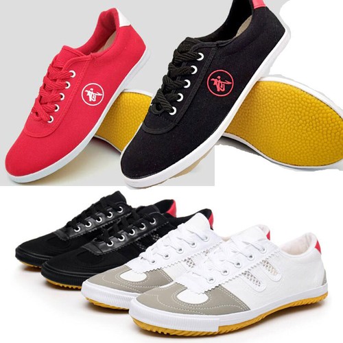 Kung tai chi shoes - tai, adult