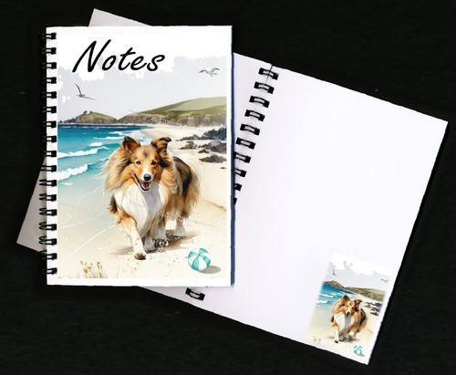 Shetland sheepdog sheltie - sheepdog,