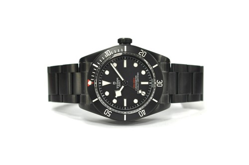 Tudor black bay - bay, dark