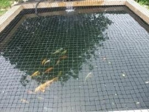 Child safety pond - child,