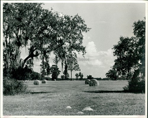 2009 turner camp - 2009, road