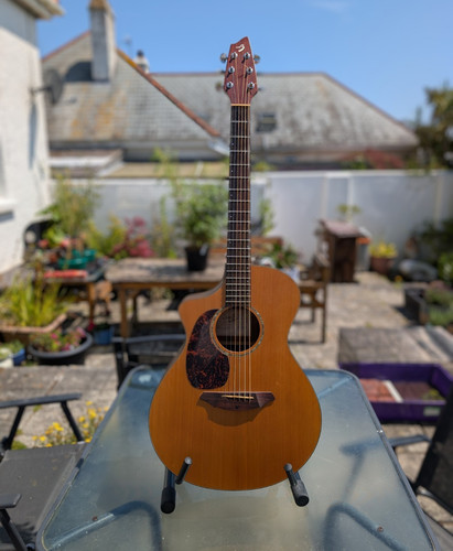 Breedlove atlas ac250 - ac250/cr, lefty