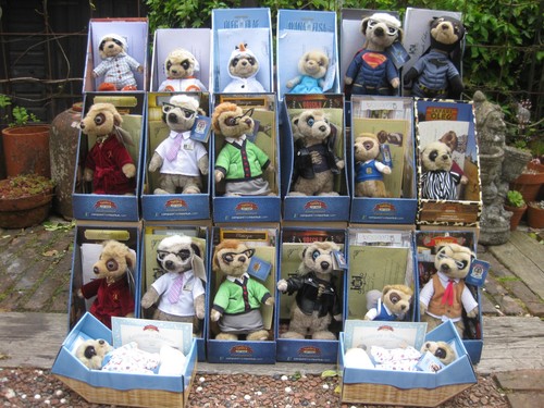 Compare the meerkat soft - the,