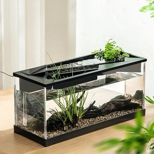 Small fish tank aquarium - aquarium,