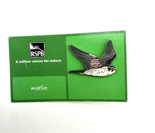 Vintage rspb merlin bird pin - rspb,