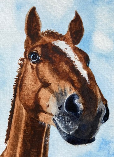 Original watercolour horse - watercolour,