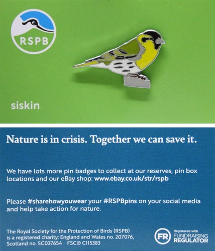 Rspb pin badge niic siskin - rspb,