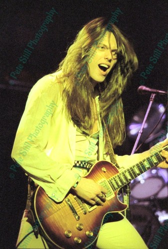 Thin lizzy concert - in,