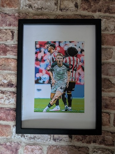 Sunderland afc play - sunderland, off