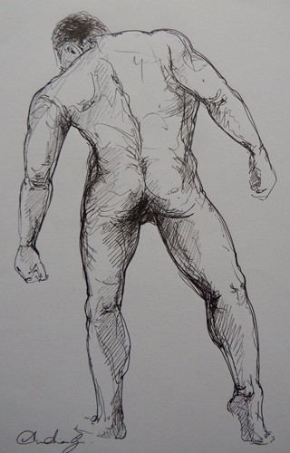 Ink drawing male nude - drawing,
