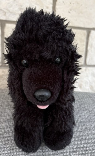 Black poodle dog - dog, keel