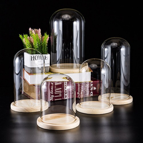 Christmas glass dome display - christmas,