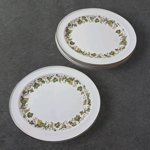 Wedgwood vine oval - vine, steak