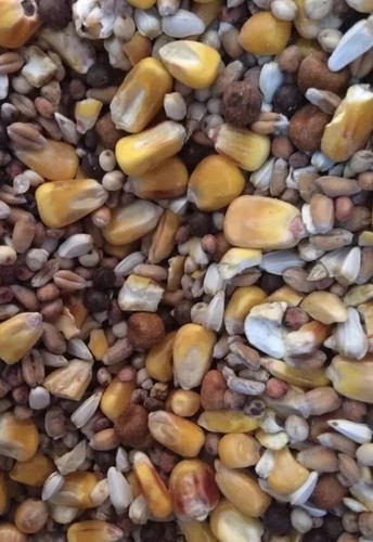 20kg unprepared spod mix - mix, carp