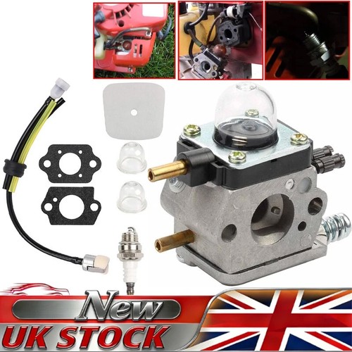 Carburetor for stroke - 2-stroke, mantis