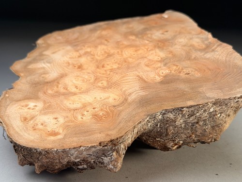 Cap burr elm - edge, resin