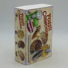 Five Real Natural Fossils Gift