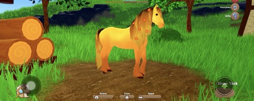 Wild horse islands event - horse, hair