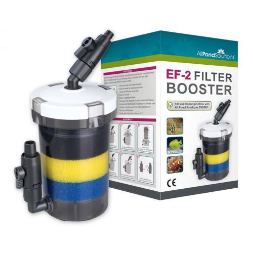 External aquarium fish - fish, tank