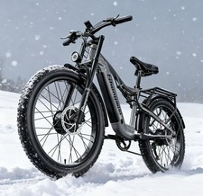 Powerful Adults E-Bike