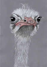 Original color pencil Art