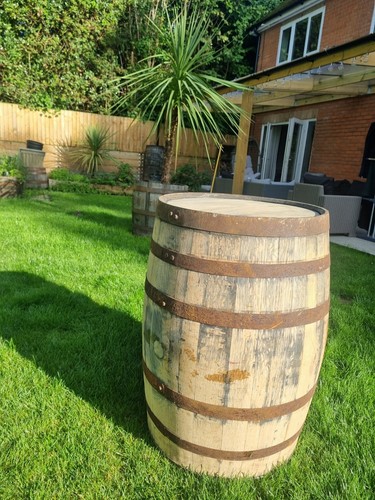 Sanded clean oak whiskey - clean,