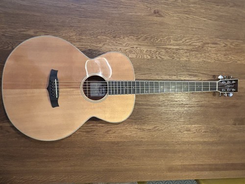 Tanglewood twbz electro - twbz,