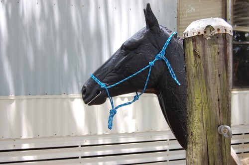 Soft rope training halter - 1/4",