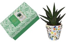 MOSAIC CRAFT GARDEN PLANTER KIT BY LUXE DÉCOR AGE 8+ - ADULT IDEAL XMAS GIFT