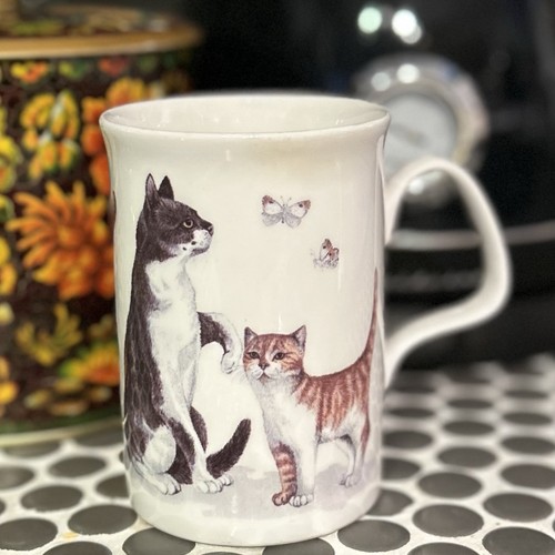Roy kirkham cat lovers - roy,