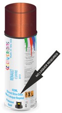 Direct Gloss Shine Spray