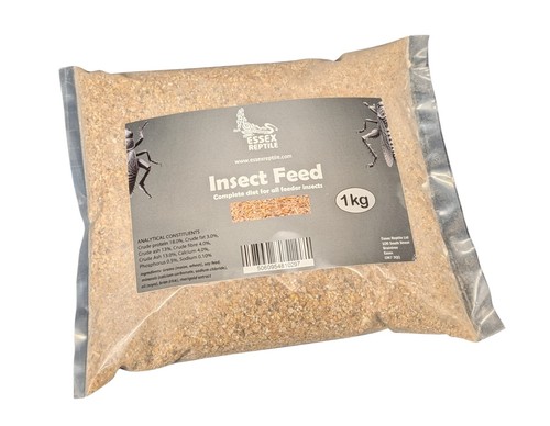 Essex reptile insect feed - essex,