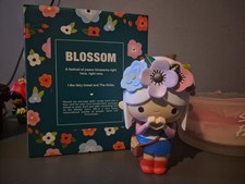 Large Momiji Doll, Blossom, Collectors Choice 2019, Boxed, Hand Numbered.