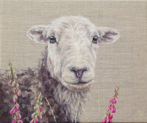 Herdwick ewe original - herdwick,