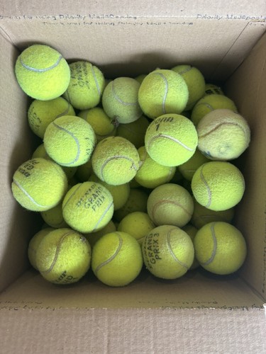 Used tennis balls for dogs - tennis,