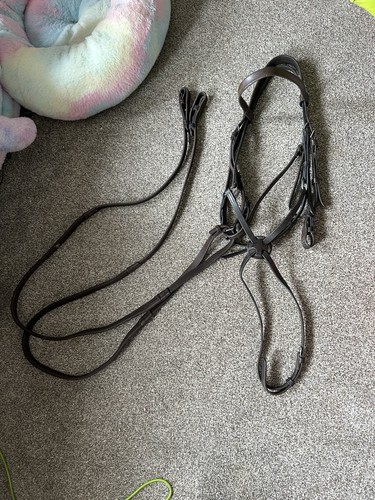 Cob brown grackle bridle - cob,
