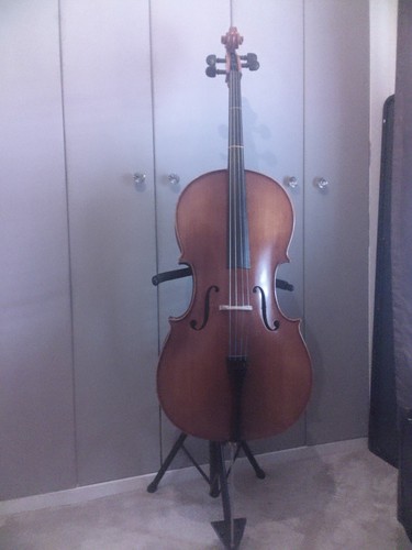 Acoustic string cello - acoustic, 4-string