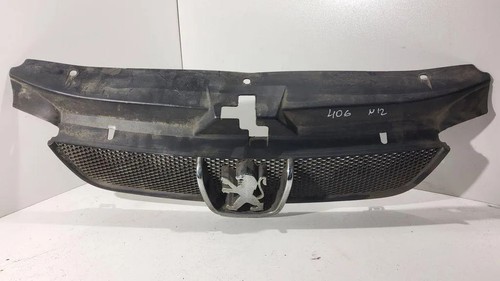 Peugeot 406 front - 406, 8b