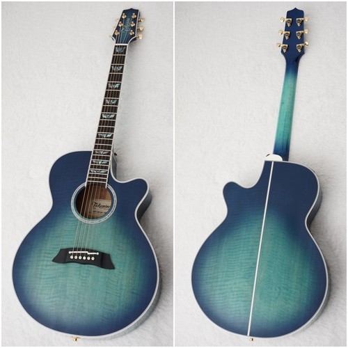 Takamine tdp181ac sbb acoustic - takamine,