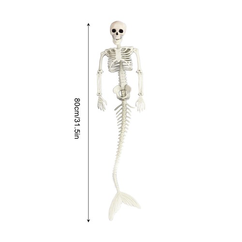 Life size skeleton halloween - size,