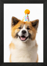 Happy Akita Dog with Birthday