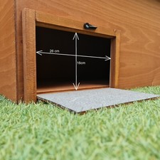 Large Outdoor Tortoise House