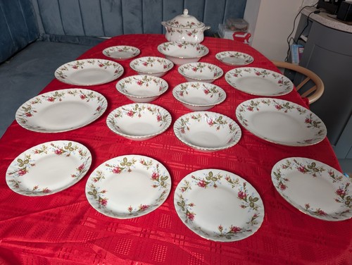 Chodziez moss roses - dinner, set