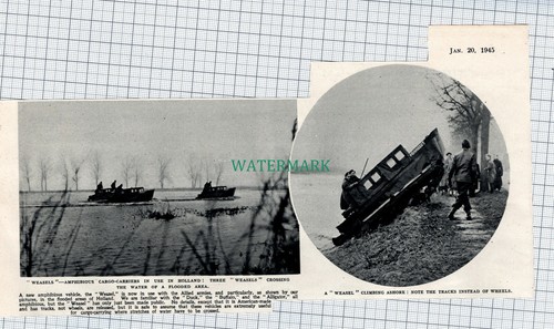 C4601 weasel amphibious - weasel,