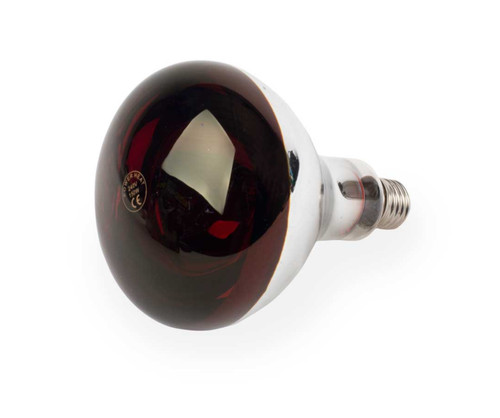 175w infa red heat lamp - 175w, bulb