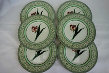 6 x RHS Applebee Collection